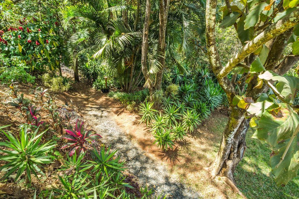 B&B Vista Atenas (Adults Only) Jesus Ngoại thất bức ảnh