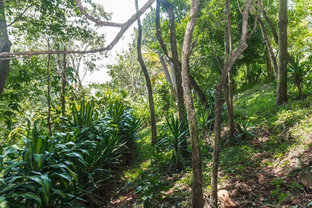 B&B Vista Atenas (Adults Only) Jesus Ngoại thất bức ảnh